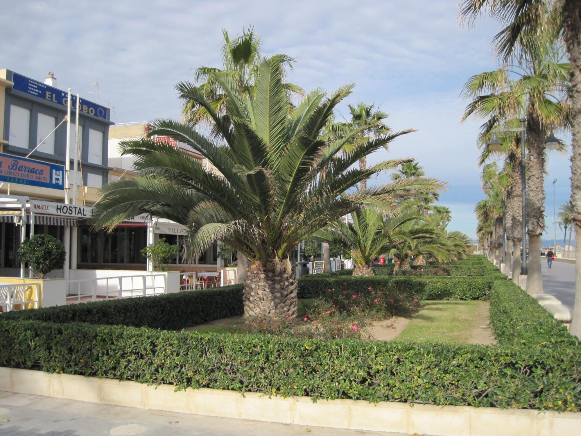 El Globo Hotel Valencia Exterior photo